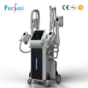 Wholesale 10.4 inch touch screen freezing fat cells cost sculpting Cryolipolysis Fat freeze Slimming Machine from china suppliers