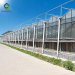 Layer Commercial Garden Clear 12m Flower PC Sheet Greenhouse
