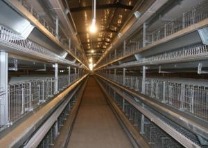 Wholesale Professional Poultry Brooder Cages / High Tech Poultry Cage 360 Degree Rotating Design from china suppliers