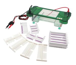 Wholesale Stable Agarose Gel Electrophoresis Apparatus Auto Switch Off ISO Approved from china suppliers