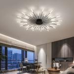 Nordic fireworks ceiling lamp bedroom living room LED black ceiling lights