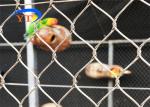 Ferrule Type Stainless Steel Bird Mesh Diamond Shape Corrosion Resistant