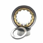 Grease or Oil Lubricated NUP1009EM Cylindrical Roller Bearing 45*75*16mm for