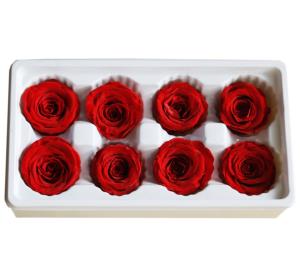 Wholesale Natural preserved fresh flowers for Valentines day Never Withered Flowers Home Decoration from china suppliers