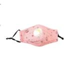 Anti Pollution Valved PM2.5 Kids Kn95 Mask