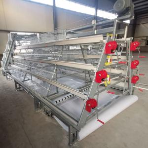 Wholesale Galvanized Steel Wire Mesh Baby Chick Cage For Demonstration Farm from china suppliers