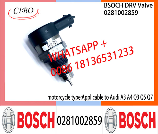 BOSCH DRV Valve 0281002858 0281002859 Control Valve 0281002858 0281002859 for Audi A3 A4 Q3 Q5 Q7