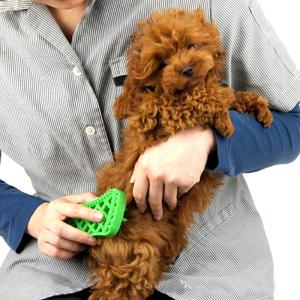 Wholesale Dog Hair Pet Massage Pet Cleaning Brush Deodorant Antipruritic from china suppliers