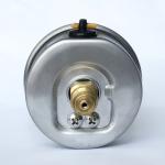304SS Flanged Pressure Gauge Axial Mount Oil Filled Pressure Gauge Stainless
