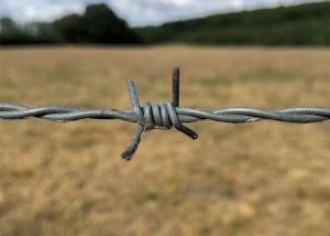 Wholesale Garden Anti-Theft Double Twisted Hot Dipped Galvanized Barbed Wire Coils from china suppliers