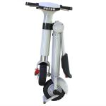 Fashion 48V 500W Folding Electric Bike Scooter 12 Inch Ecorider Traffic Tool