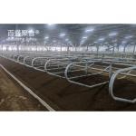ISO9001 2008/CE/BV Certified Steel Structure Cow Shed Farm Building for Goat