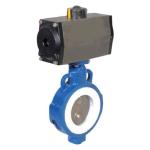 Metal Lever Cast Iron Body Wafer End Type Dn50 Butterfly Valve