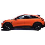 2024 High Speed Long 555km Range Energy Vehicles Adult Fast Charge Smart Elf 3