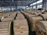 Underground Armoured Fiber Optic Cable G.652D SM 12/24/48/96 Core GYTA53