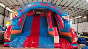 Wholesale 1000D Plato Commercial Inflatable Water Slides Digital Printing from china suppliers