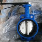 Marine Cast iron Butterfly Valve JIS F7480 wafer lug Type Size:DN40-DN350