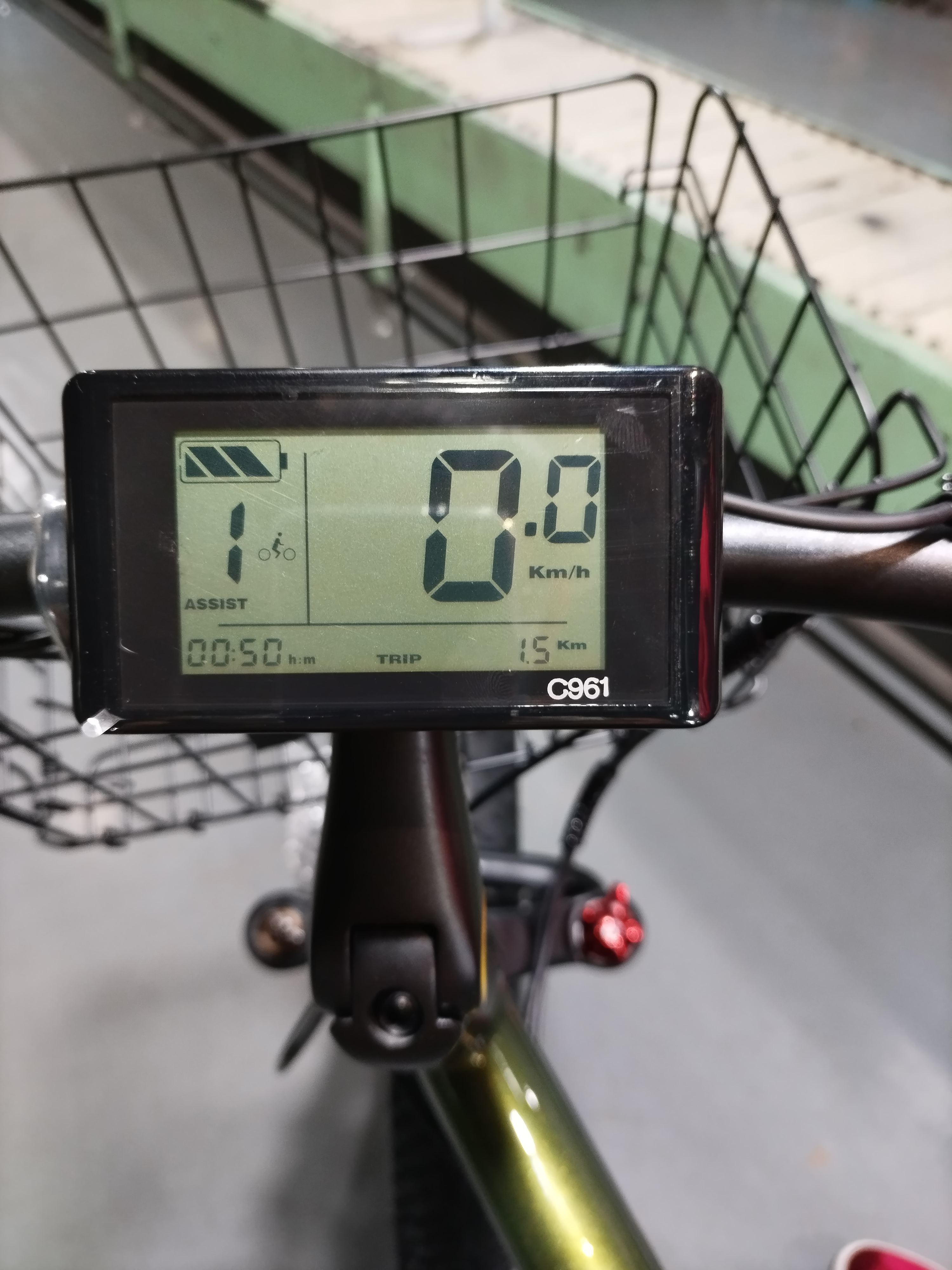 Electric Beach Cruiser Bike with Customized Multicolored 750W Hub Motor and Fat Tires