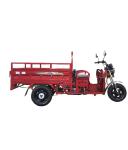 Pedal 1.0m*3.1m 110cc 3 Wheel Trike Moped