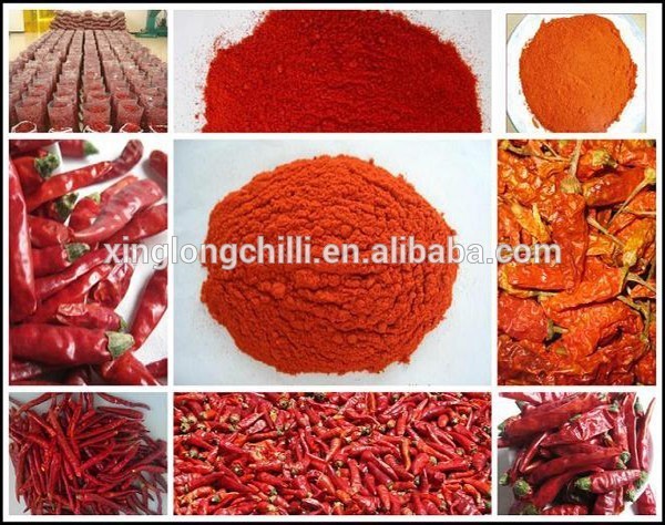 Spicy Flavor Chilli Pepper Powder ASTA 120 Shelf Life 12 Months Storage Method Dry And Cool Place