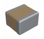 2225Y2500680FFT