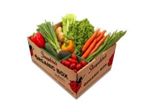 Wholesale Moistureproof Corrugated Vegetable Boxes , Fruit Packaging Boxes AB Flute from china suppliers