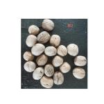 China nut manufacturer wholesale 185/33/xin2 and other high quality organic