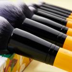 birch wood Basic Makeup Brushes Set Vegan Brush Set with 21cmx11cm Bag