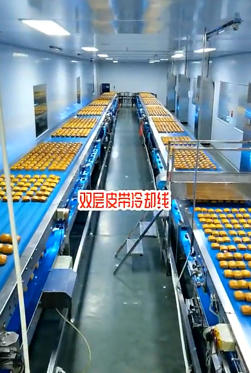 Independent Controlled Cup Cake Cooling Multi Way Curved Belt Conveyor