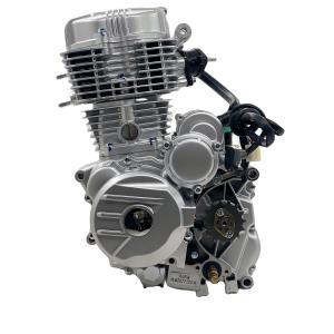Wholesale DAYANG 150cc/200cc/250cc/300cc Water Cooling And Air Cooled Engine For Three Wheel Motorcycle/ Cargo Tricycle from china suppliers