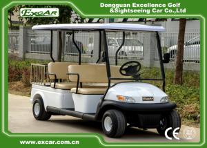 Wholesale White Hotel Buggy Car With ADC Brand Motor Electromagnetic Brake from china suppliers