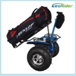 Self Balancing Electric Golf Scooter Segway Outdoor Dual Wheel