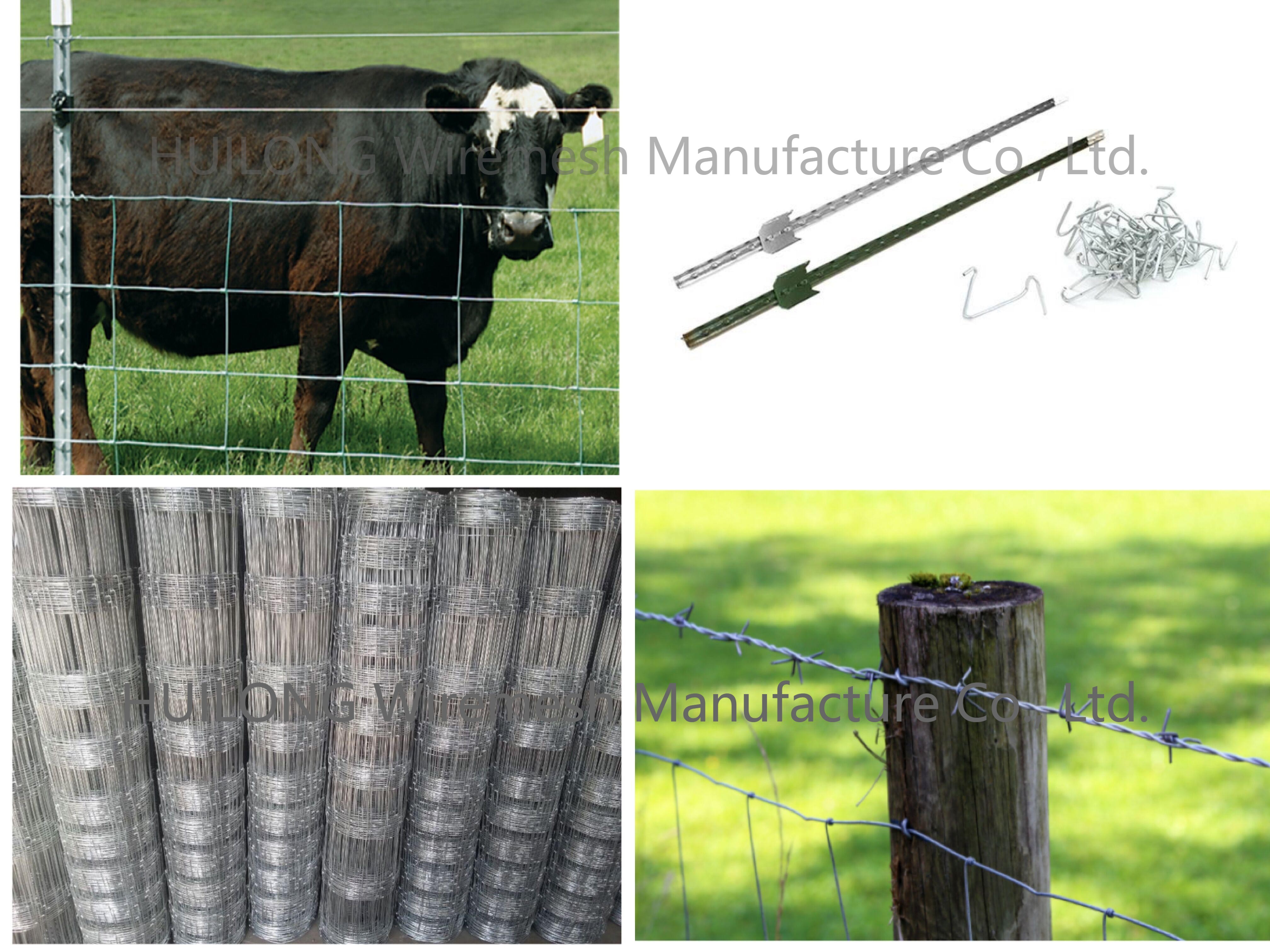 50m Deer Fencing Hinge Joint Wire Mesh , High Tensile Galvanized Steel Fence Roll