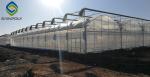 10m Span PE Plastic Shed Film Greenhouses For Agriculture
