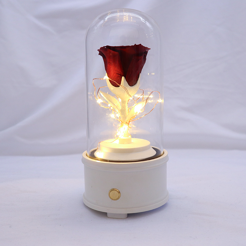 100% Natural Fresh Preserved Rose Glass Dome For Wedding Decoration