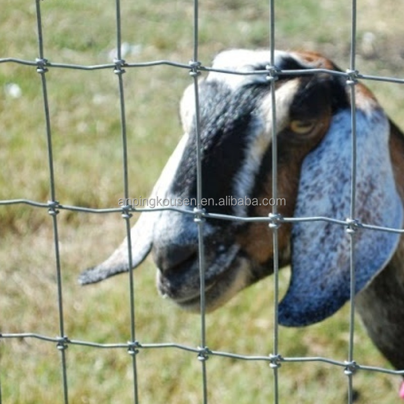 Customized Galvanized Hinge Joint Field Cattle Goat Fences for Easy Installation