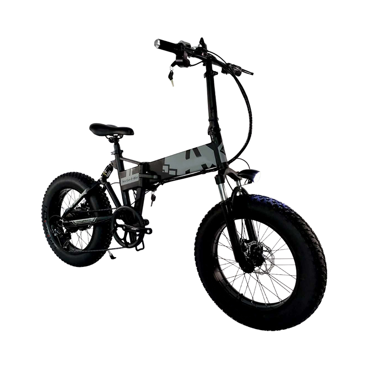 Double Suspension 20 Inch Electric Folding Fat Tire Bike