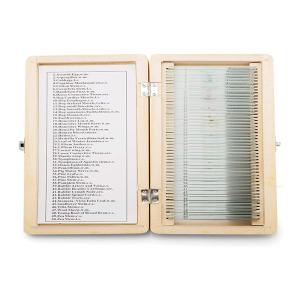 Wholesale Human Dental Histology Wooden Box 50pcs Prepared Microscope Slides from china suppliers