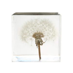 Wholesale 2.7&quot; Resin Flower Paperweight 3D Dandelion Paperweight from china suppliers
