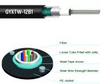 2 4 6 8 16 24 Core Aerial Armoured Fiber Optic Cable Gyxtw Gyxtw53 Uni Tube