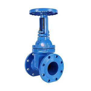 Wholesale PN10 Ductile Iron Body 100mm Handwheel Soft Seal Rising Stem Elastic Gate Valve from china suppliers