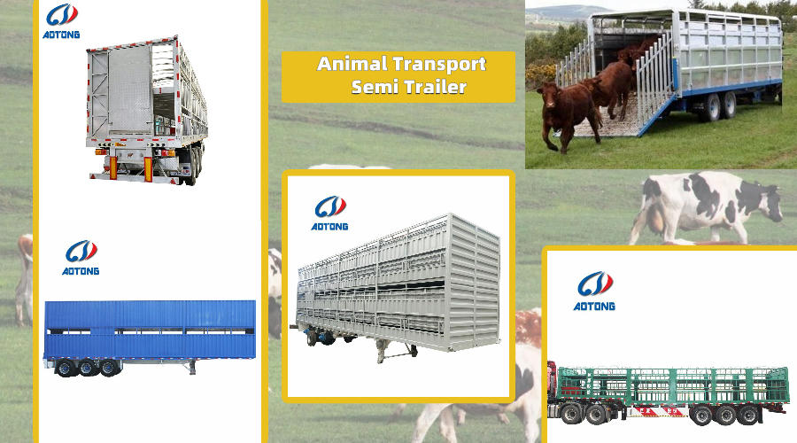 Tri Axles Stake 4 Floors Stockade Livestock Transporting Pigs Semi Trailer and Standard