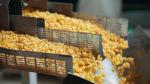 Double Screw Snack Food Extruder Machine Stick Type Puffed Corn Snack Making