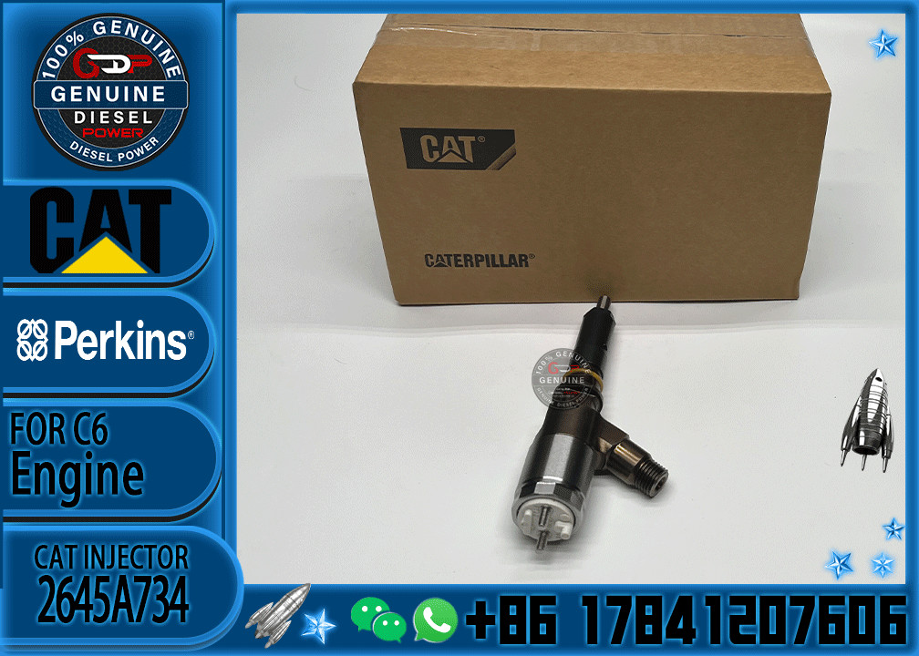 Diesel Engine Fuel Injector Excavator Accessories Diesel Motor Parts 2645A718 for Caterpillar CAT C4.4 320D
