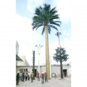 Wholesale ODM 30m Artificial Palm Tree Disguised Cell Towers Galvanized Steel Pipe from china suppliers
