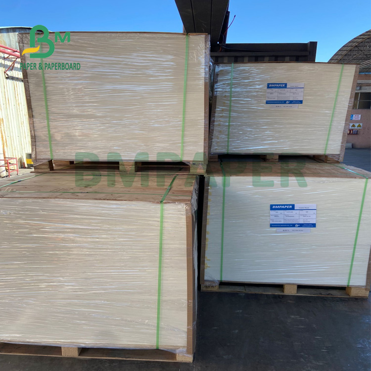 135gsm + 18gsm PE One Side Coated Cup Paper Safe & Contact With Food