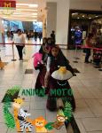 Hansel shopping mall large coin operated unicorn electric scooter with battery
