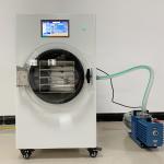 Home Small 2300W Vacuum Freeze Dryer For Fruit Freeze Dried Maker