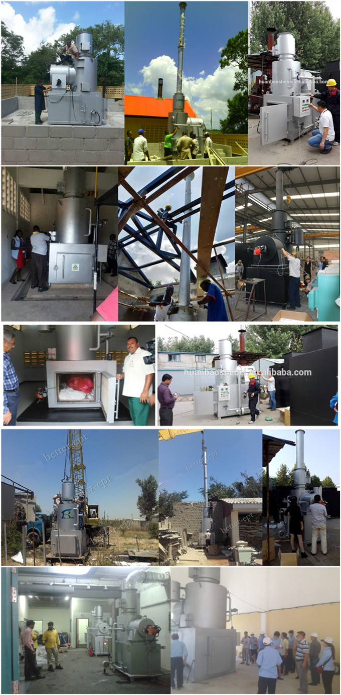20kg-500kg Dead Animal Paper Incinerator for Smokeless Waste Disposal in Hospitals