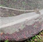 40 50 60 Mesh 125g Agriculture Greenhouse Anti Insect Net With Acceptable